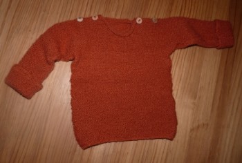 Oranger Pulli.jpg